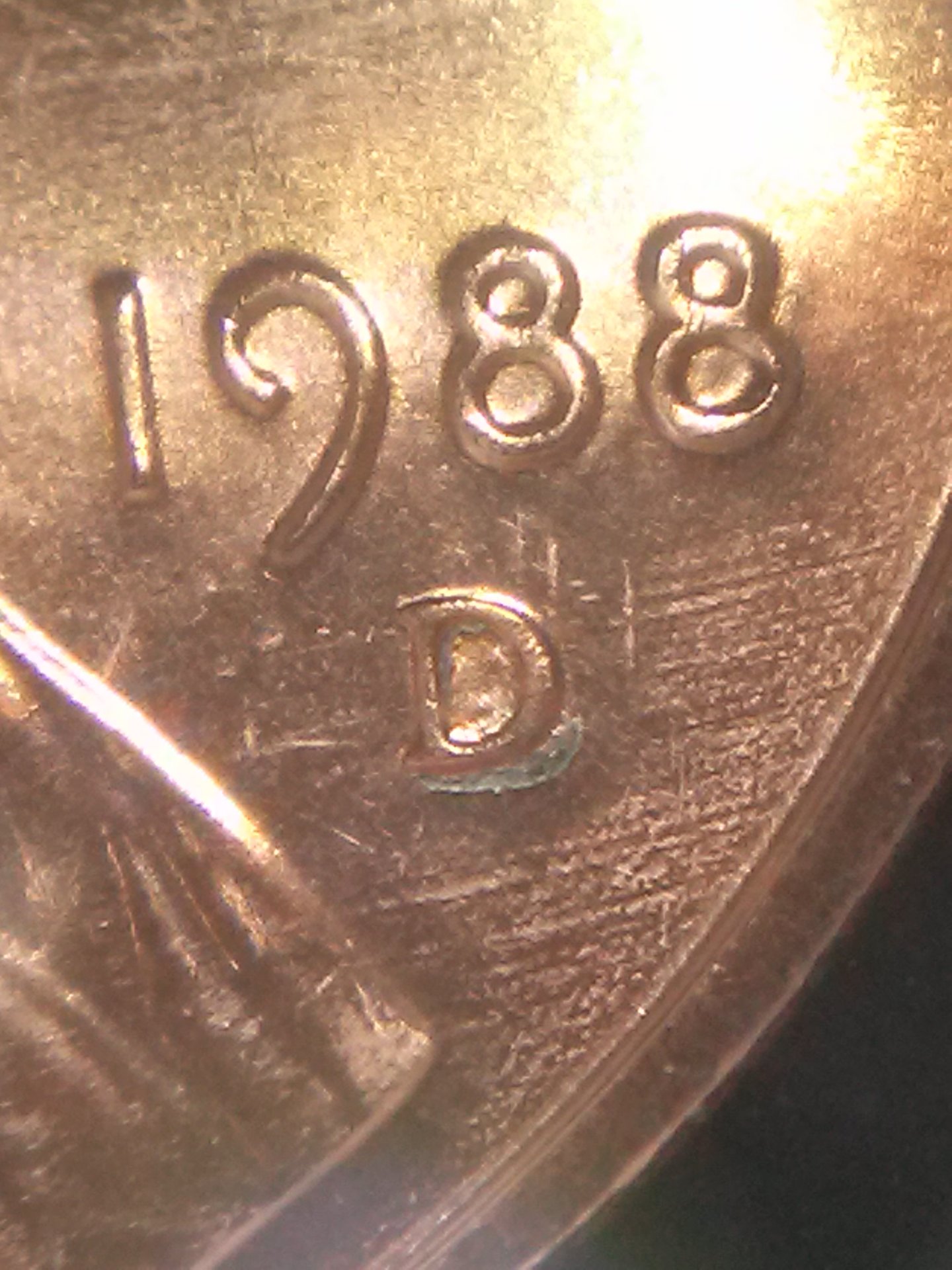 CAM01833.jpg