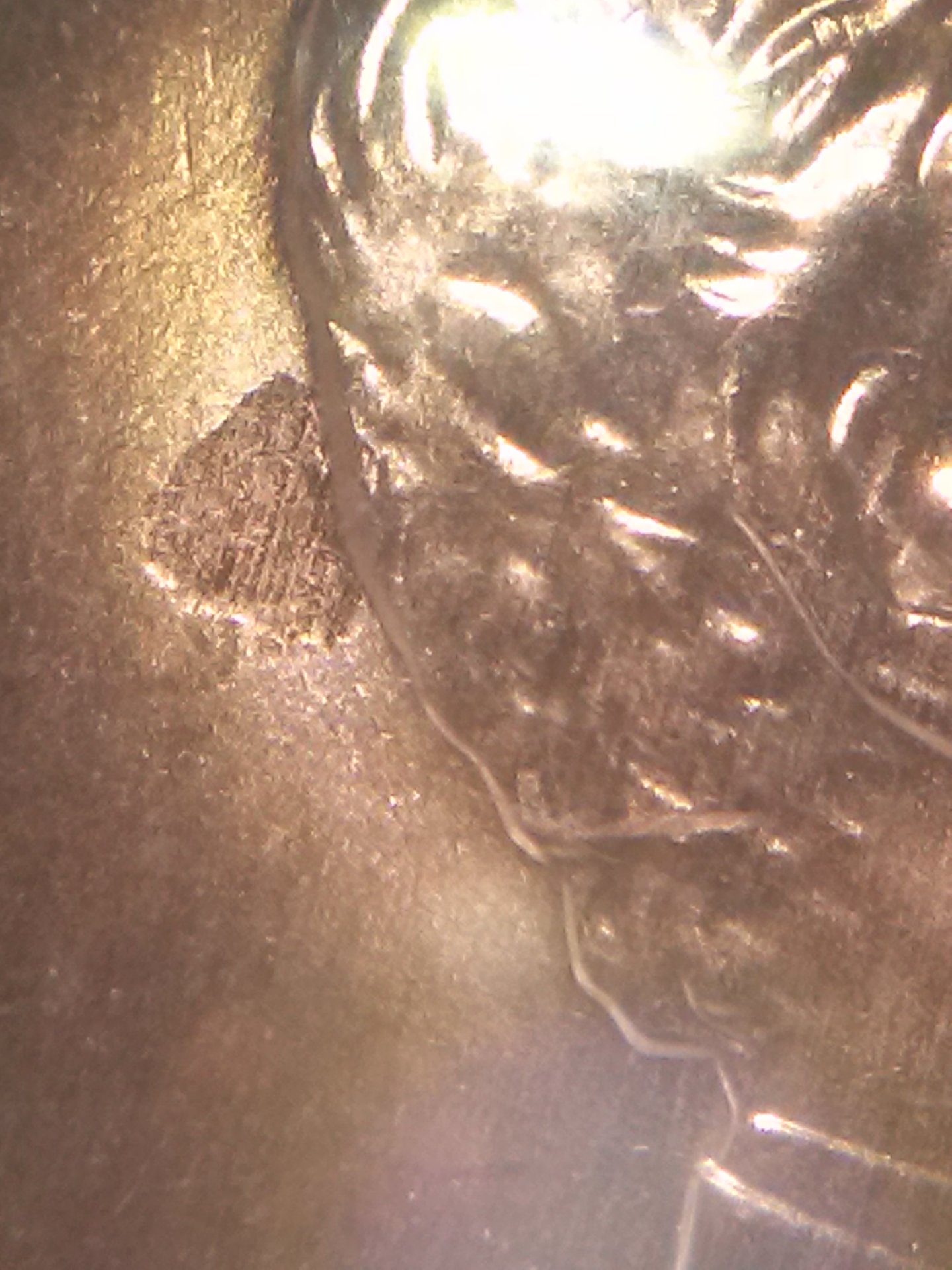 CAM01838.jpg