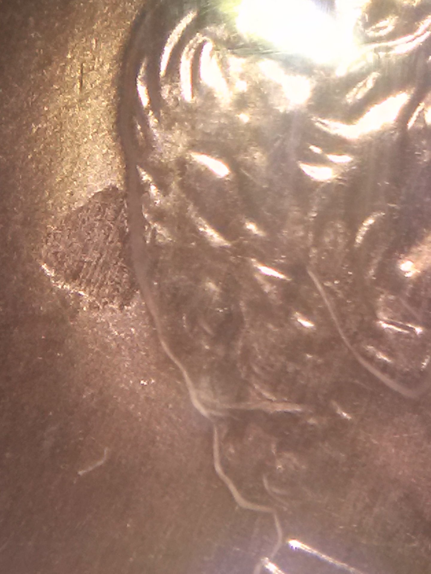 CAM01839.jpg
