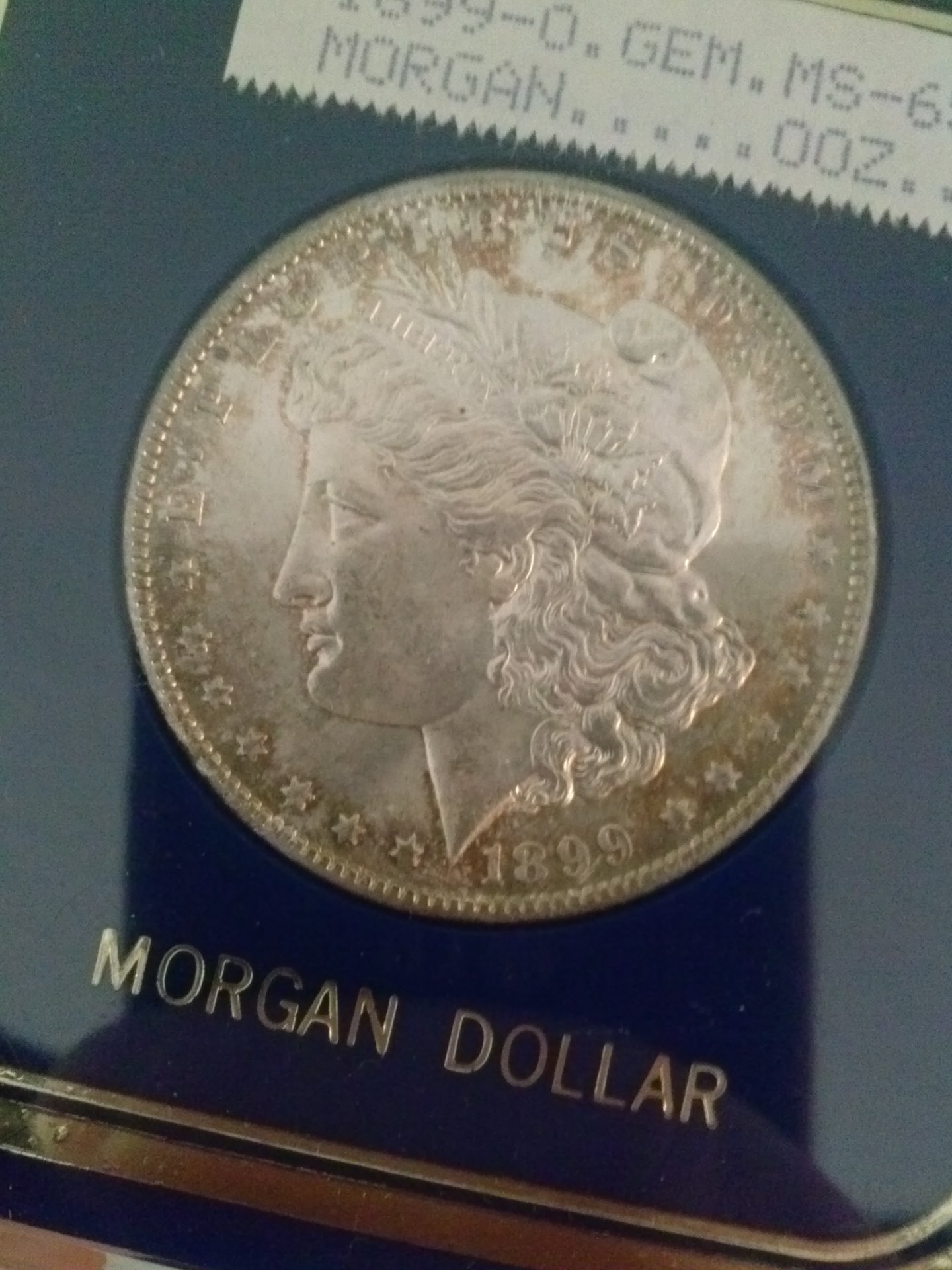 CAM01865.jpg