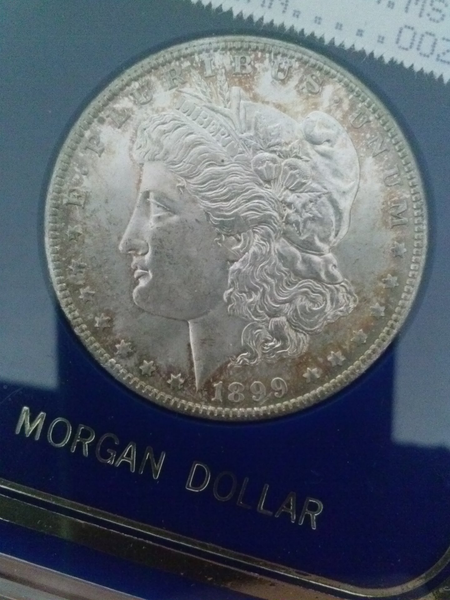 CAM01876.jpg