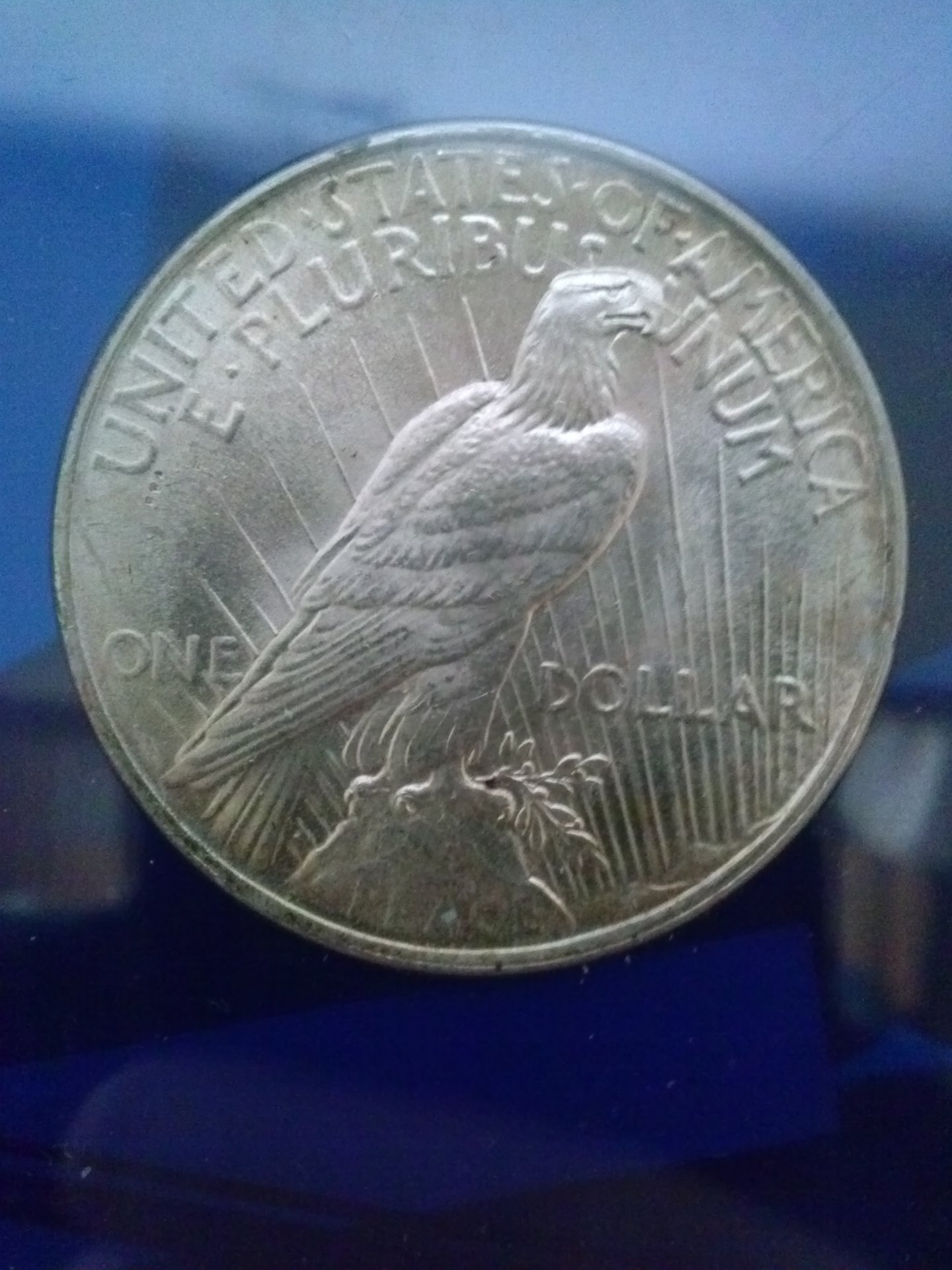 CAM01883.jpg