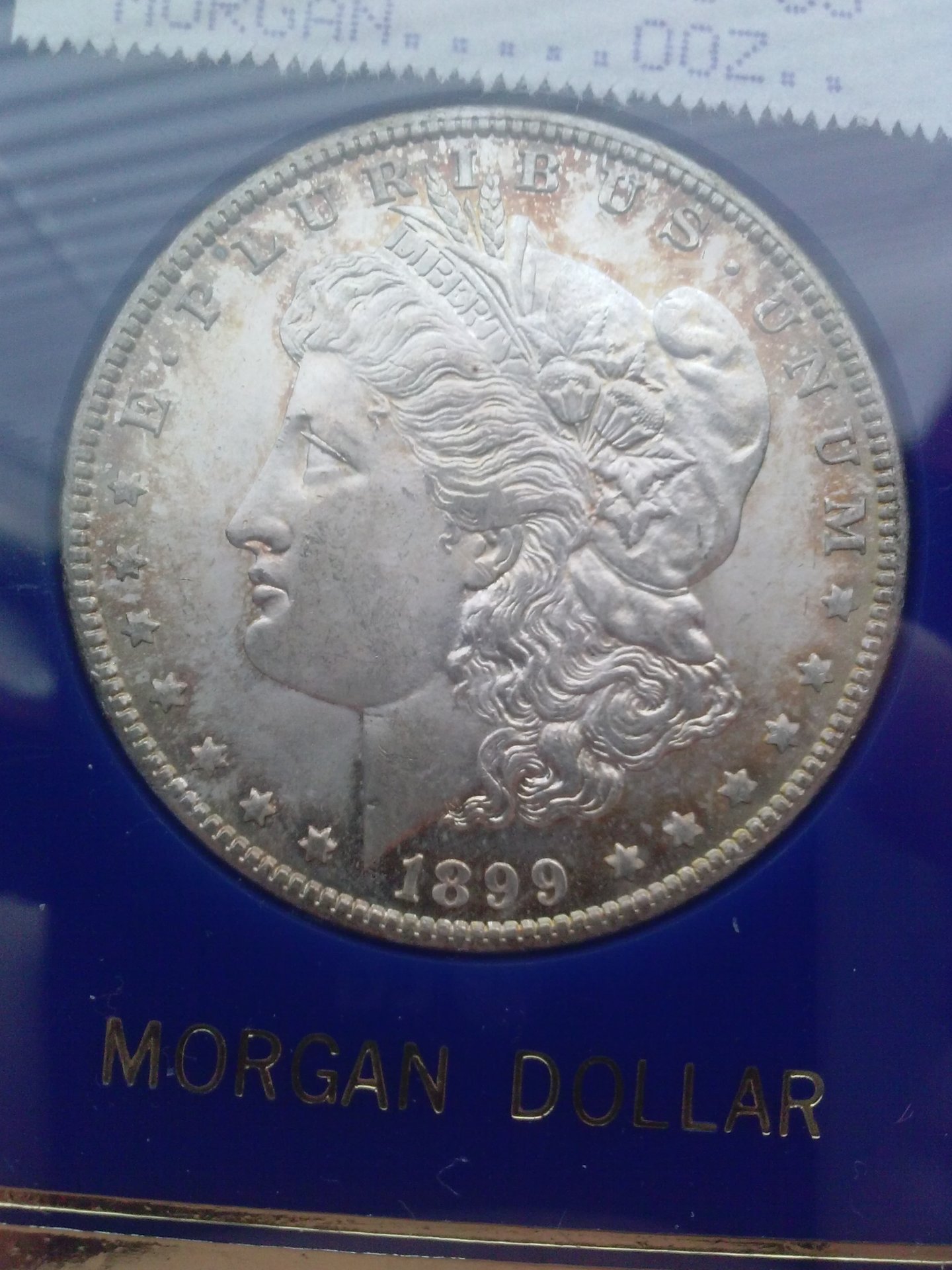CAM01900.jpg