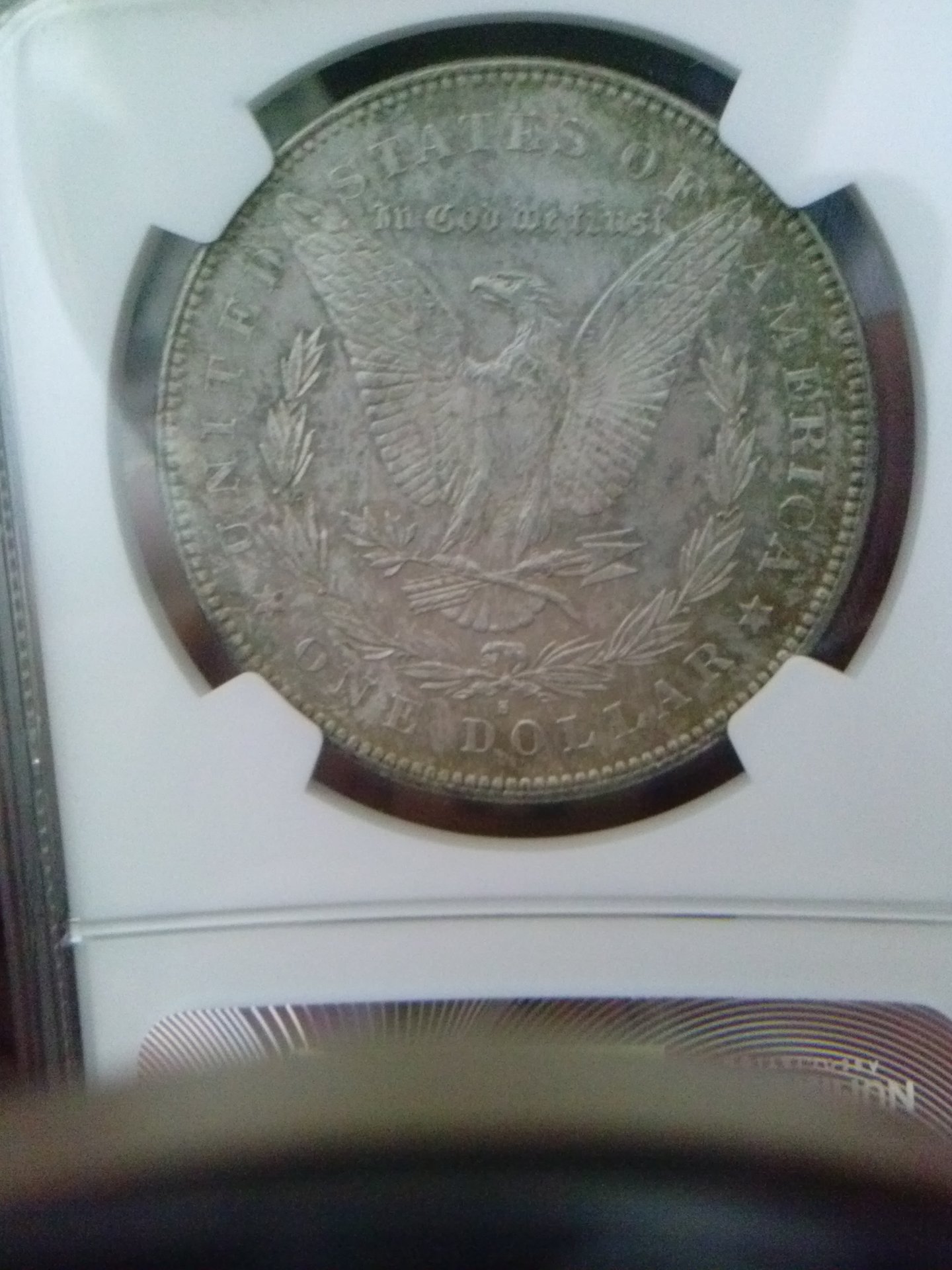 CAM02546.jpg