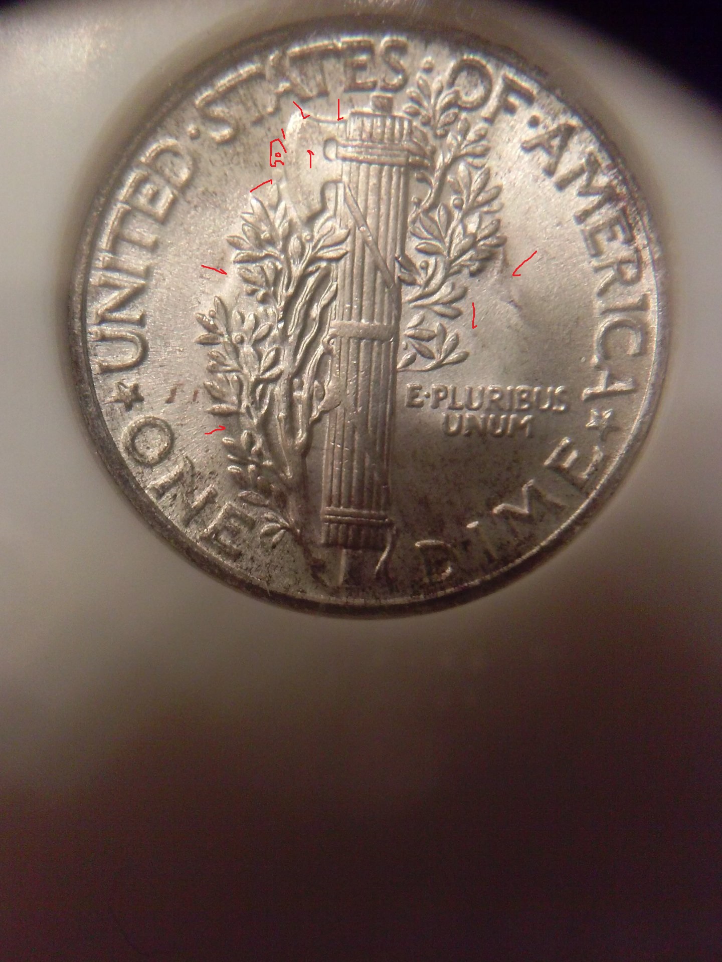 CAM02687.jpg