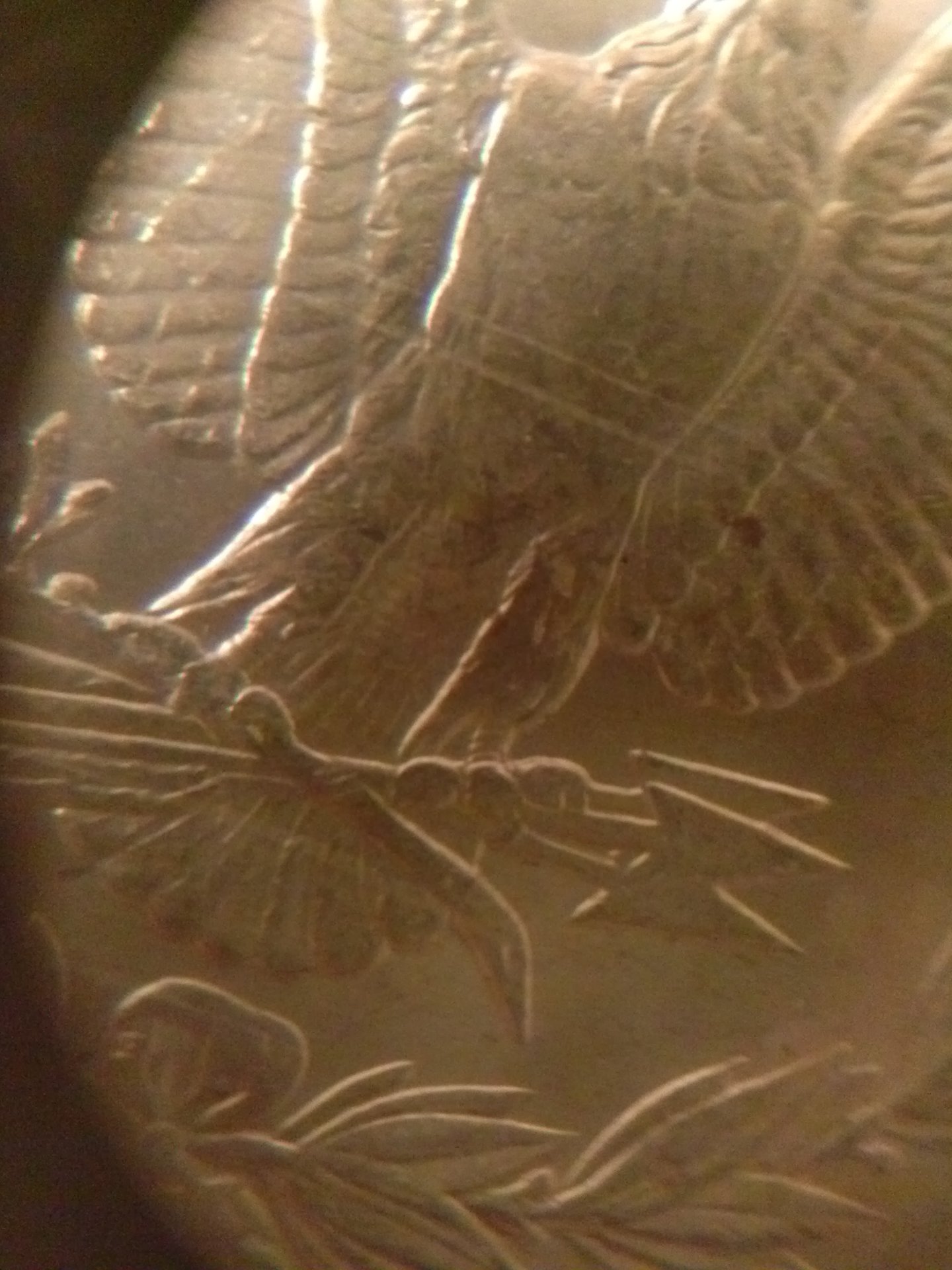 CAM03034.jpg