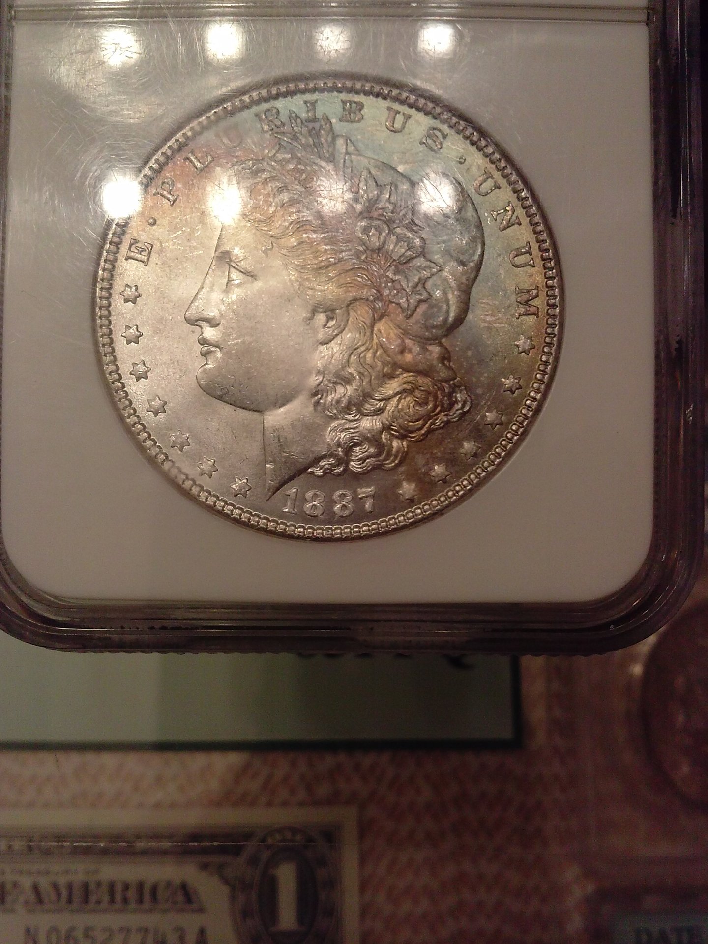 CAM03086.jpg