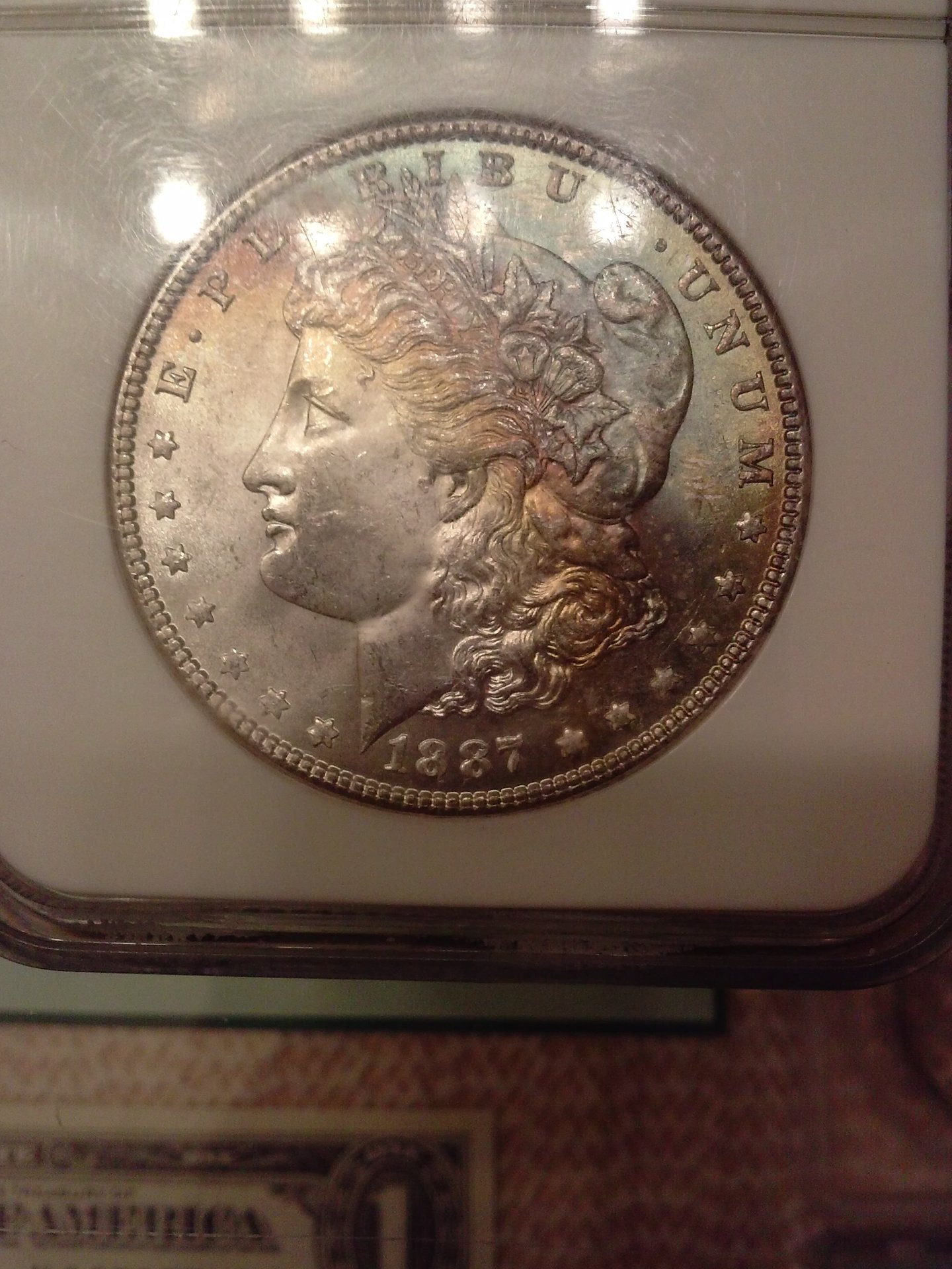 CAM03091.jpg