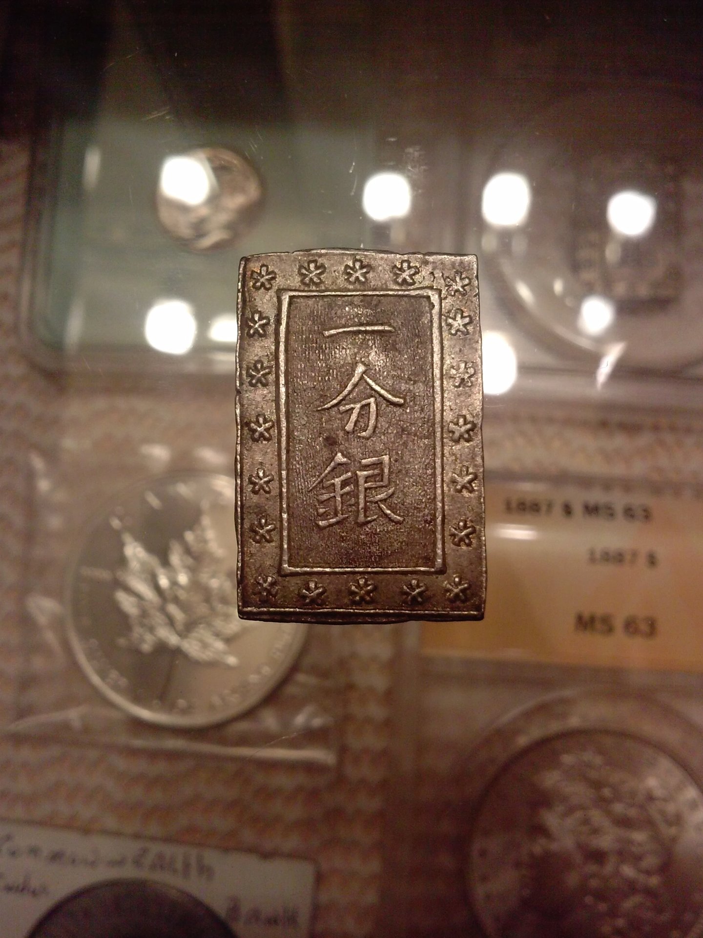 CAM03292.jpg