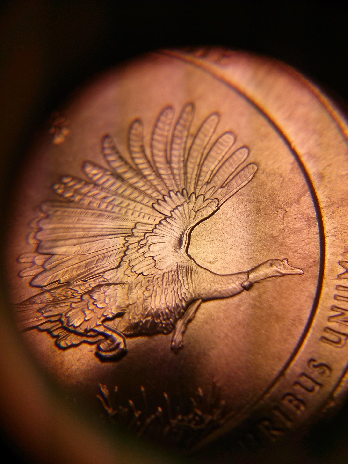 CAM04038.jpg