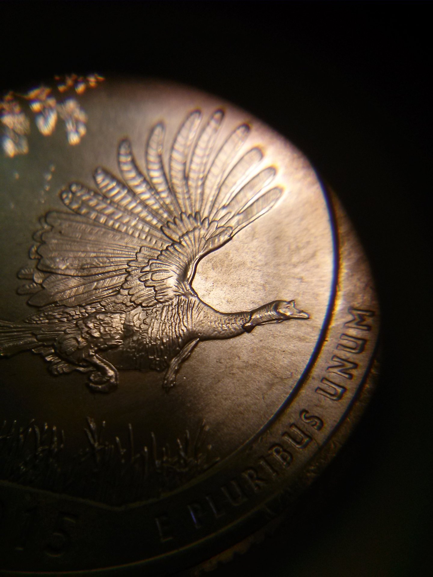 CAM04046.jpg