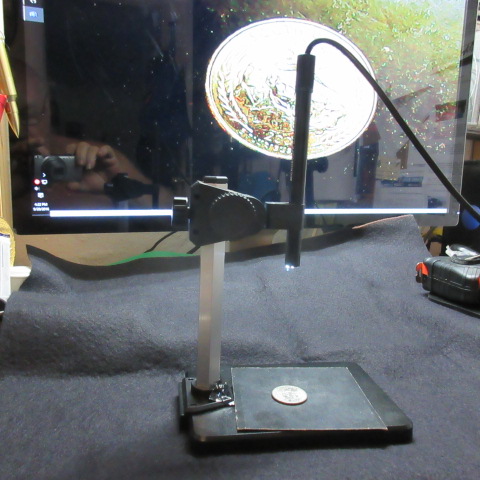 cam9-20-2.JPG