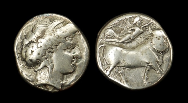 campania 6.jpg