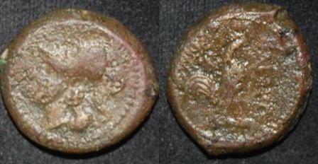 Campania Cales 256-240 BC AE 18 Athena Cock Star.jpg