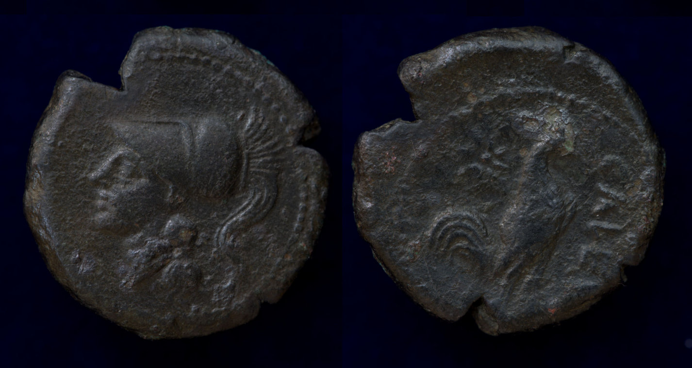 CAMPANIA Cales AE20.jpg