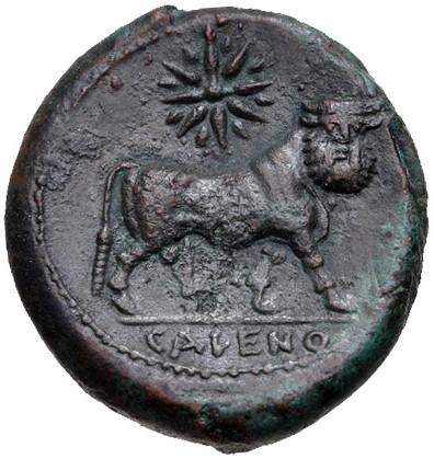 Campania Cales Manbull b.jpg