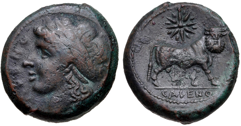 Campania Cales Manbull.jpg