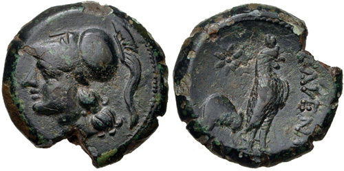 CAMPANIA.Cales.rooster.coin265to240BC.cng.jpg