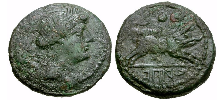 Campania CAPUA AE Uncia 216-211 BCE Diana Boar Hannibal capital Italia SCARCE.JPG