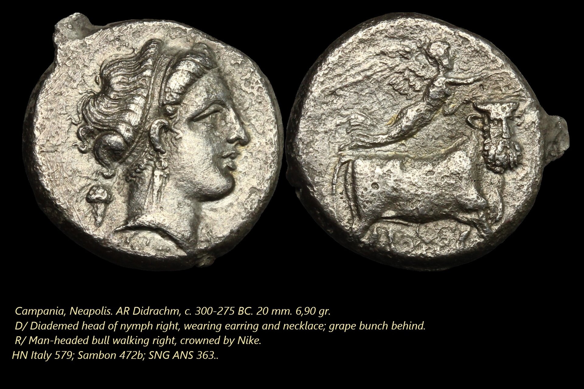 Campania, Neapolis, didrachm.jpg