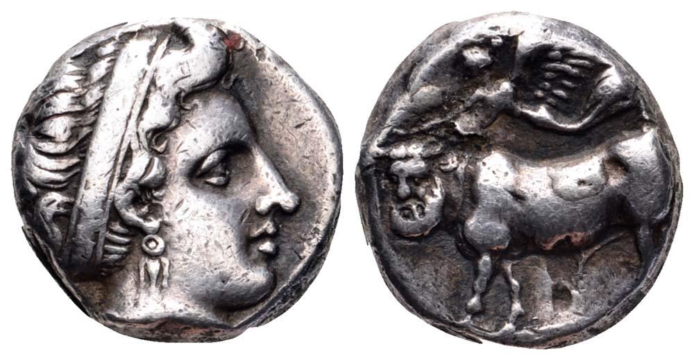 Campania Neapolis didrachm.jpg