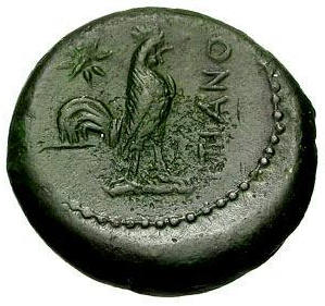 Campania Teanum Sidicinum b.jpg