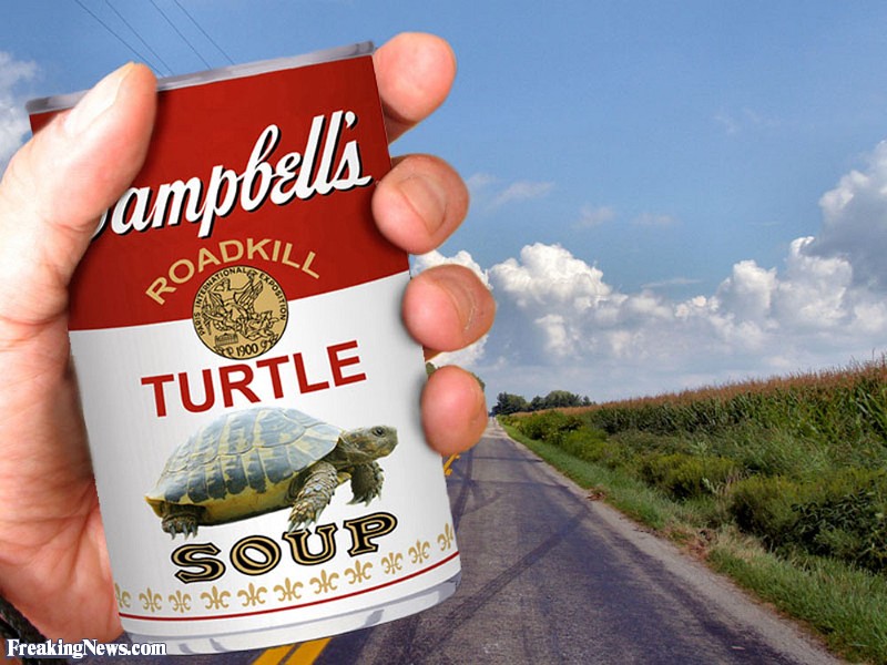 Campbell-s-Turtle-Soup--74122.jpg
