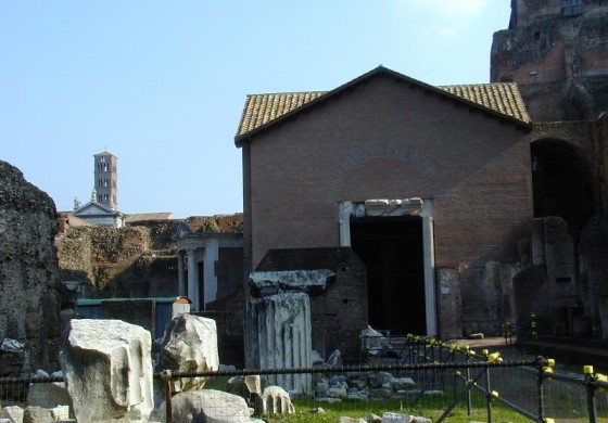 Campitelli_-_010218_Foro_04_santa_maria_antiqua-560x390.jpg
