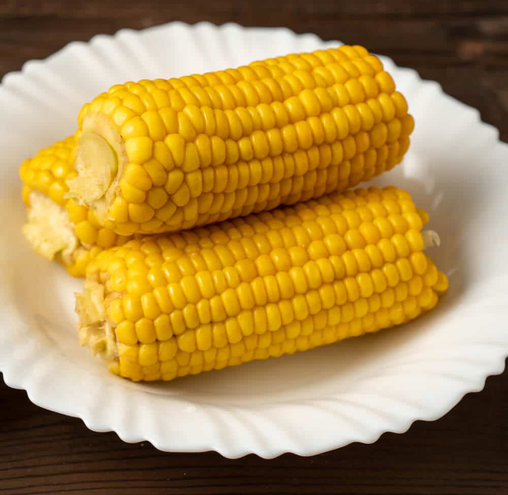 can-dogs-eat-sweet-boiled-corn.jpg