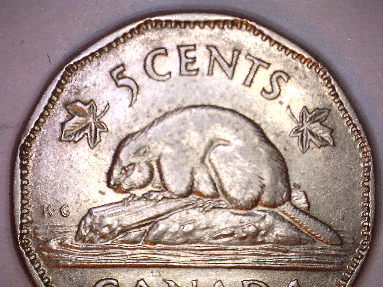 can4.jpg
