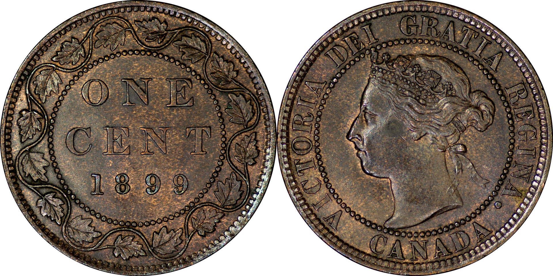Canada - 1899 Large Cent 2.jpg