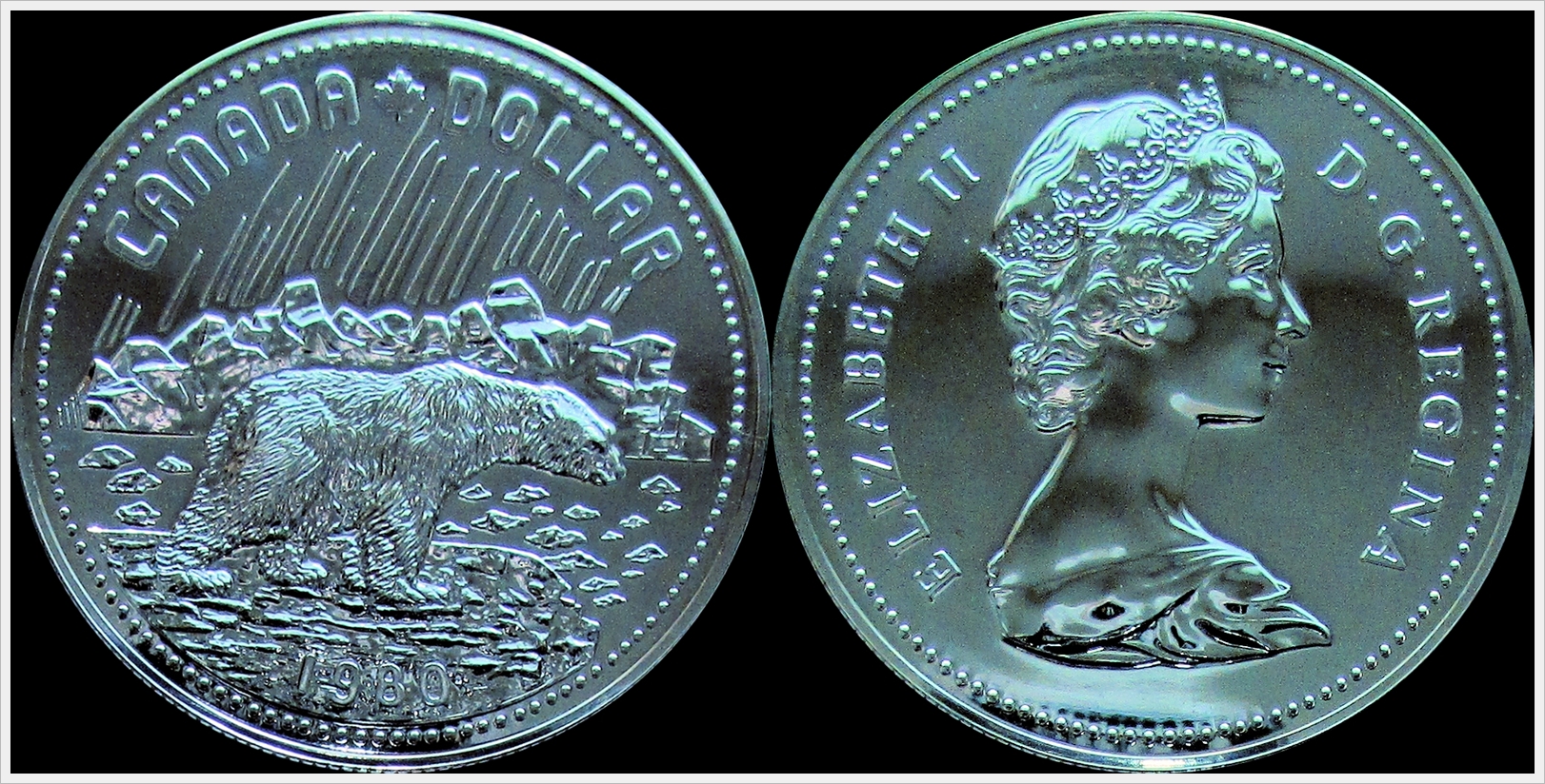 Canada 1980 Dollar proof Polar Bear.jpg