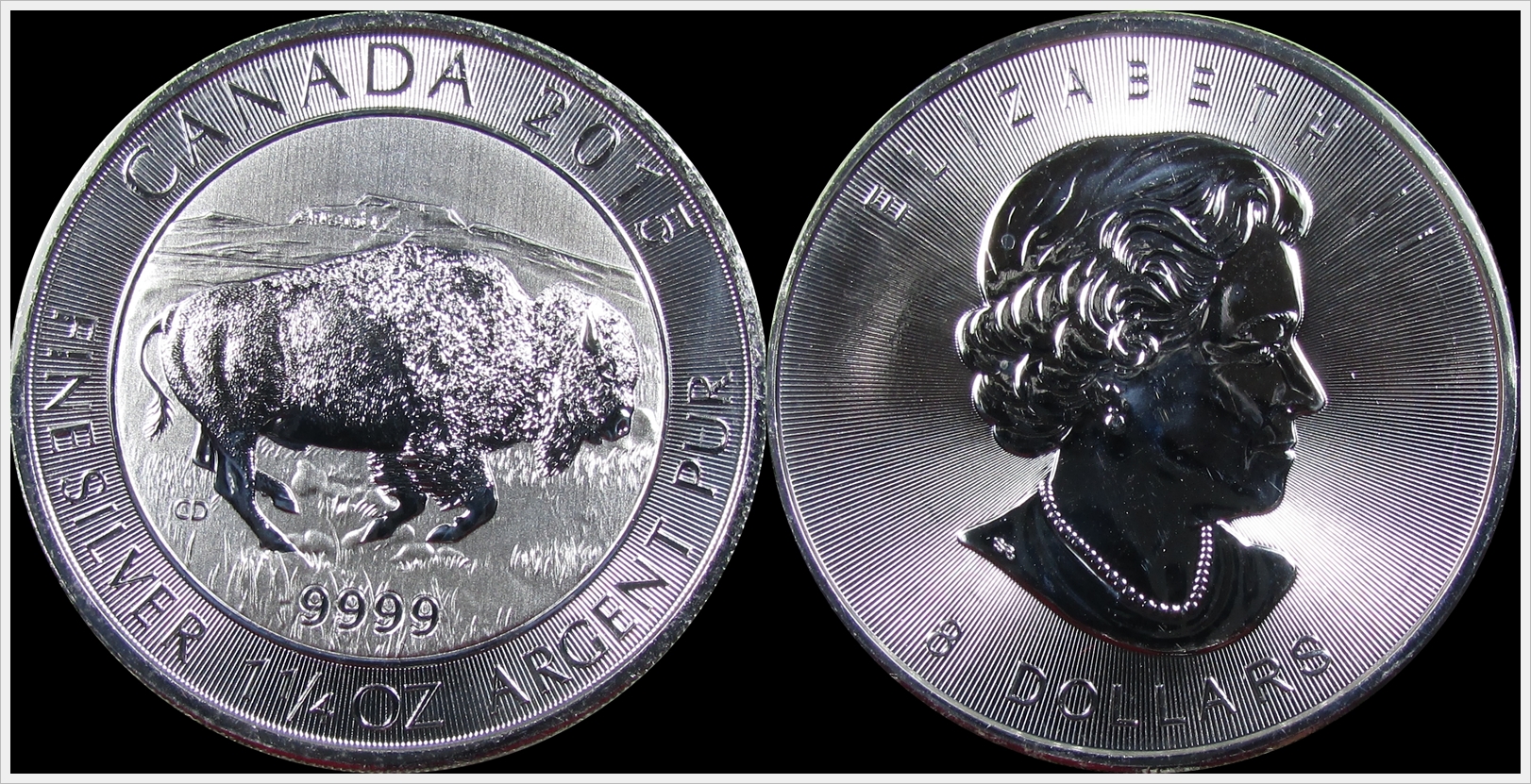 Canada 2015 Bison.jpg