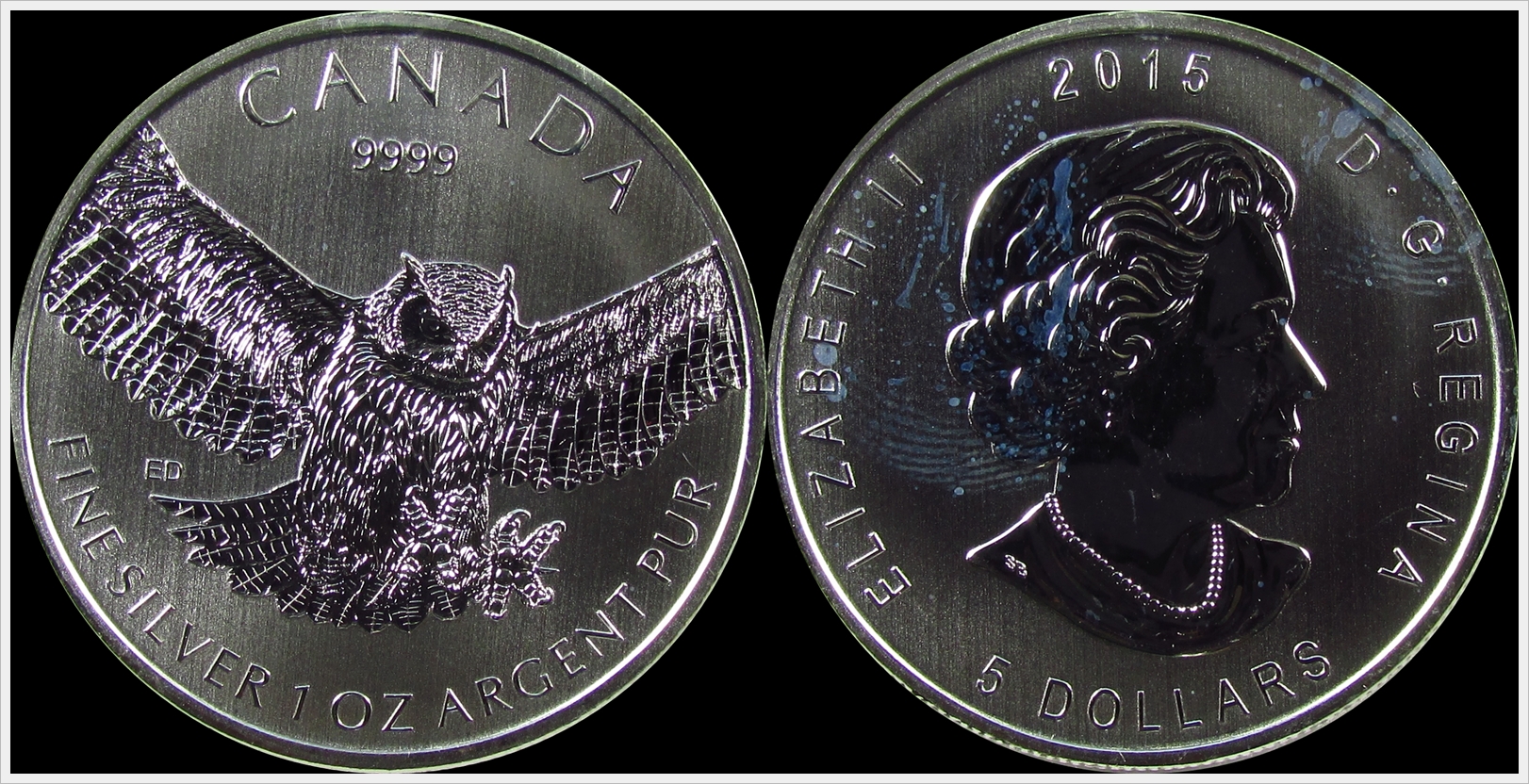 Canada 2015 owl.jpg