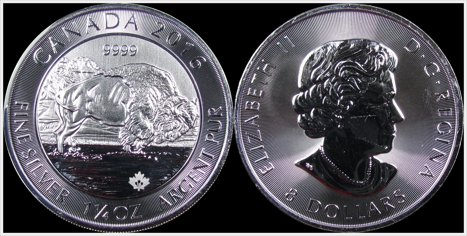 Canada 2016 Bison.jpg