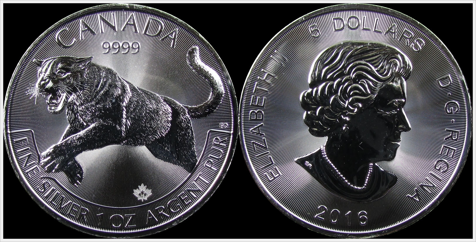 Canada 2016 Cougar.jpg