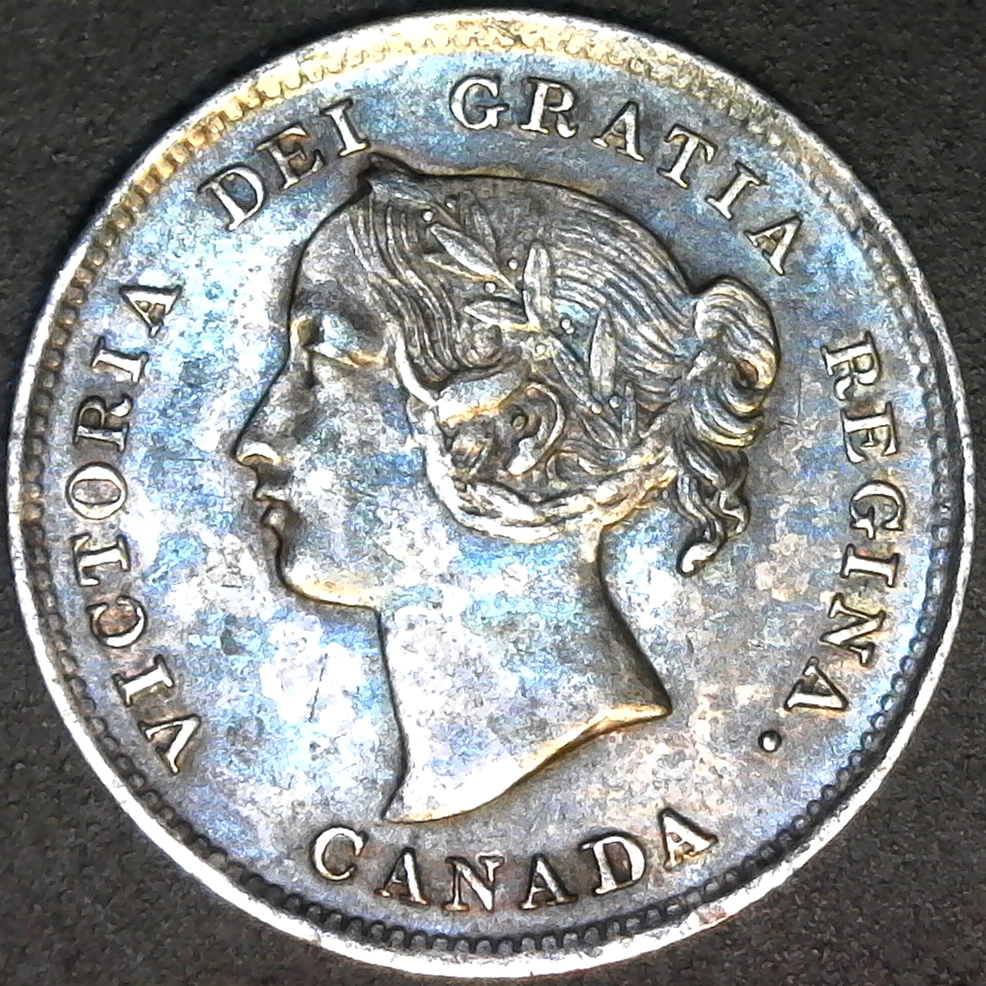 Canada 5 cents 1899 obv.jpg