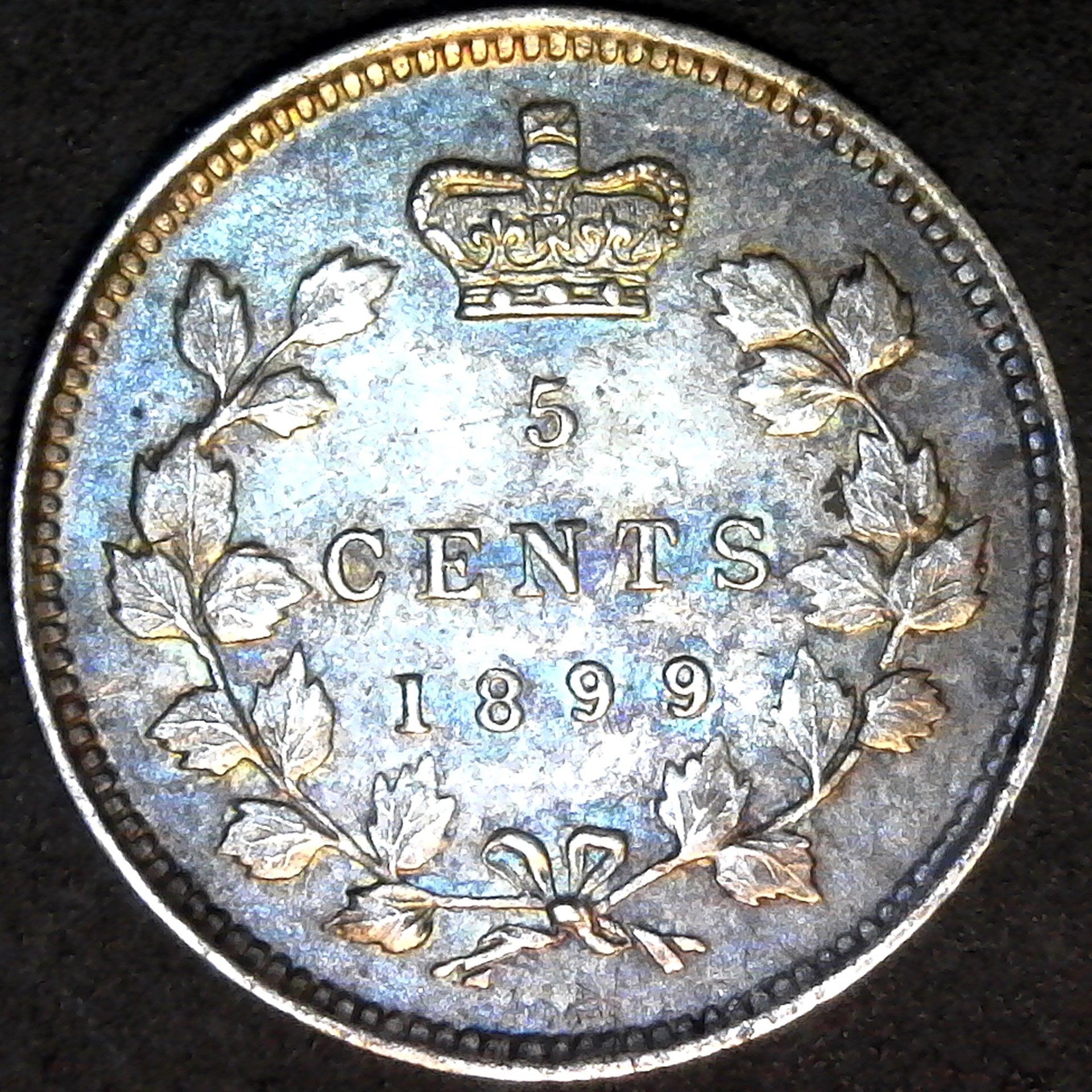 Canada 5 cents 1899 rev.jpg