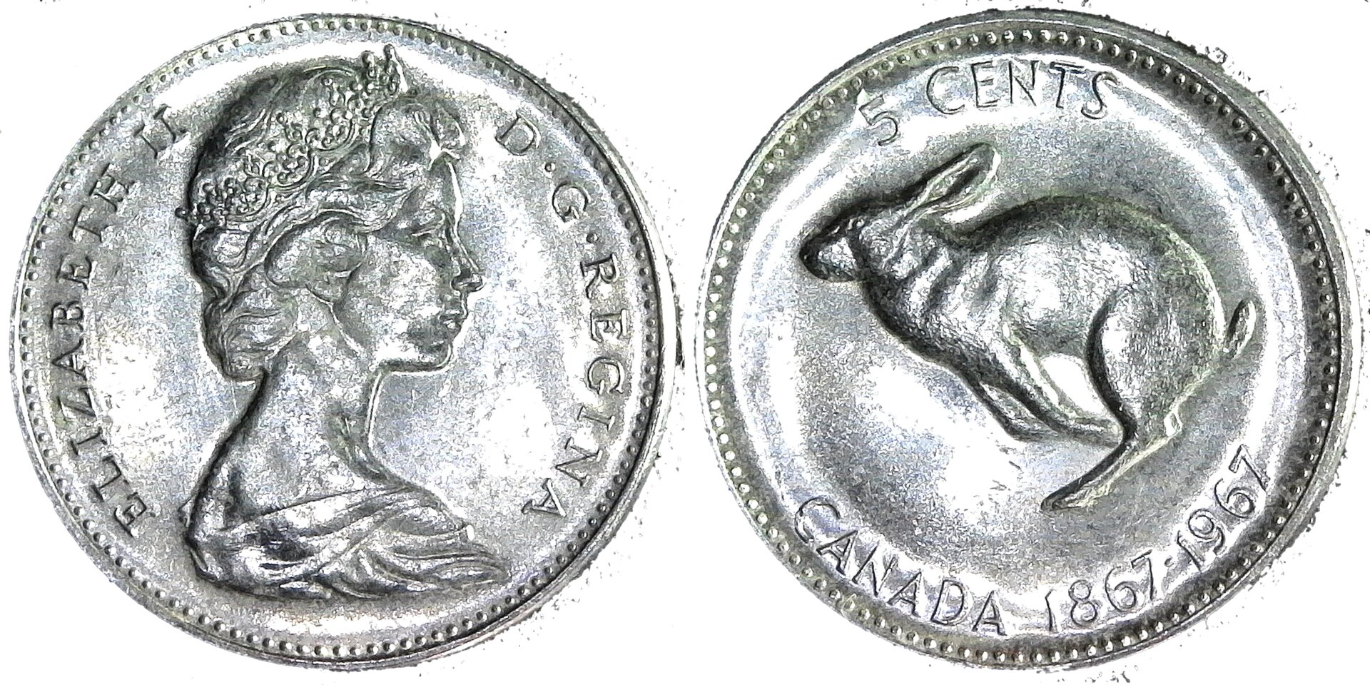 Canada 5 cents hare 1967 obv-side-cutout.jpg