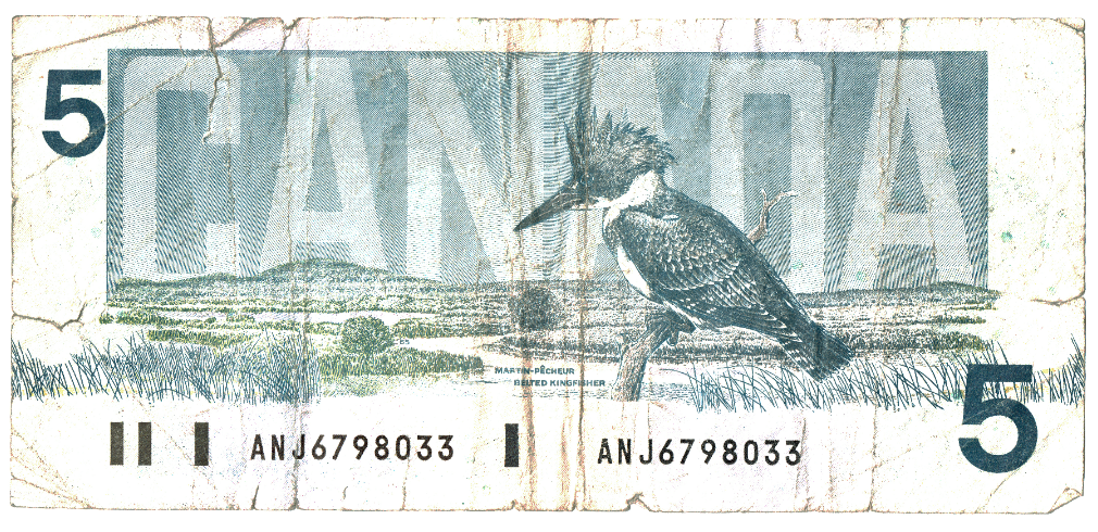 Canada $5 Dollars Bird Series Reverse_000204.png