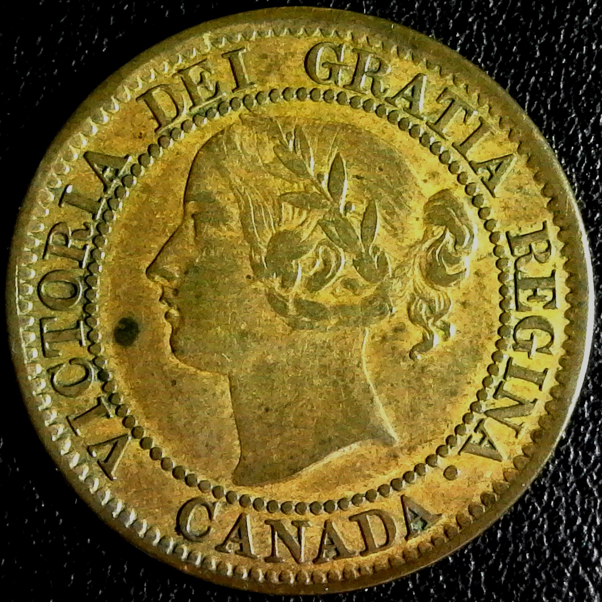 Canada Large Cent 1859 obv.jpg