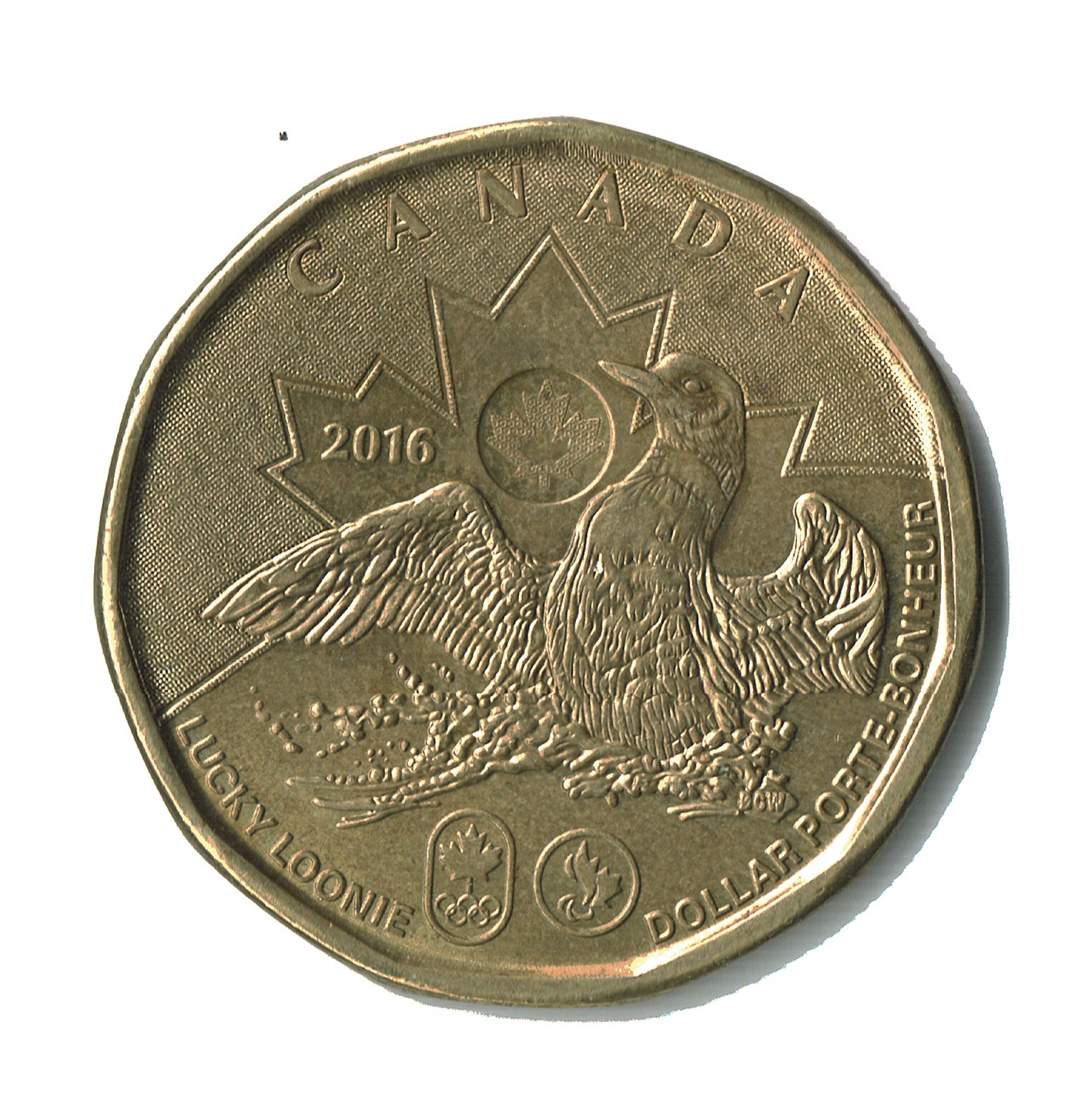 Canada Lucky Loonie 2016.jpg