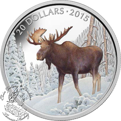 Canada_2015_20_Majestic_Moose_Coloured_Silver_Coin_logo__89436.1411509434.1280.1280.jpg