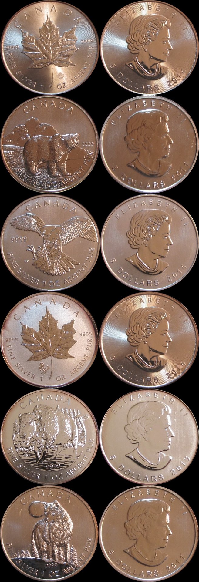 canadian lot.jpg