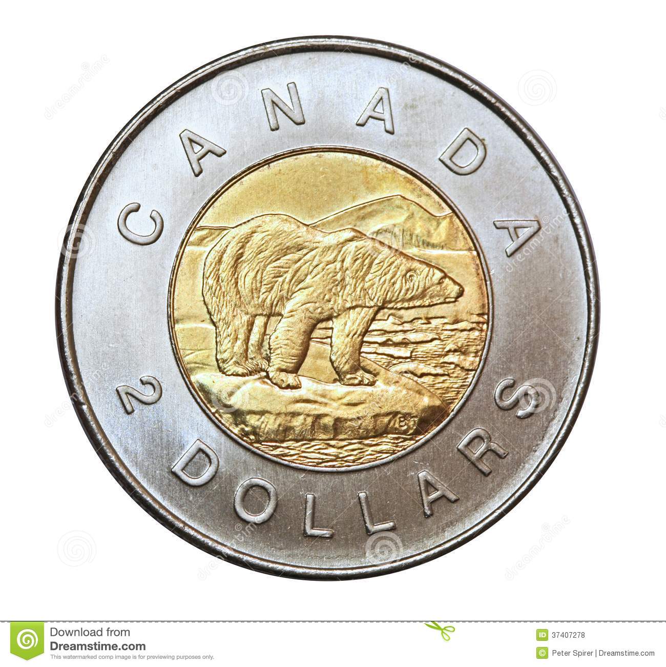 canadian-two-dollar-coin-bimetallic-illustrates-polar-bear-threatened-global-warming-37407278.jpg