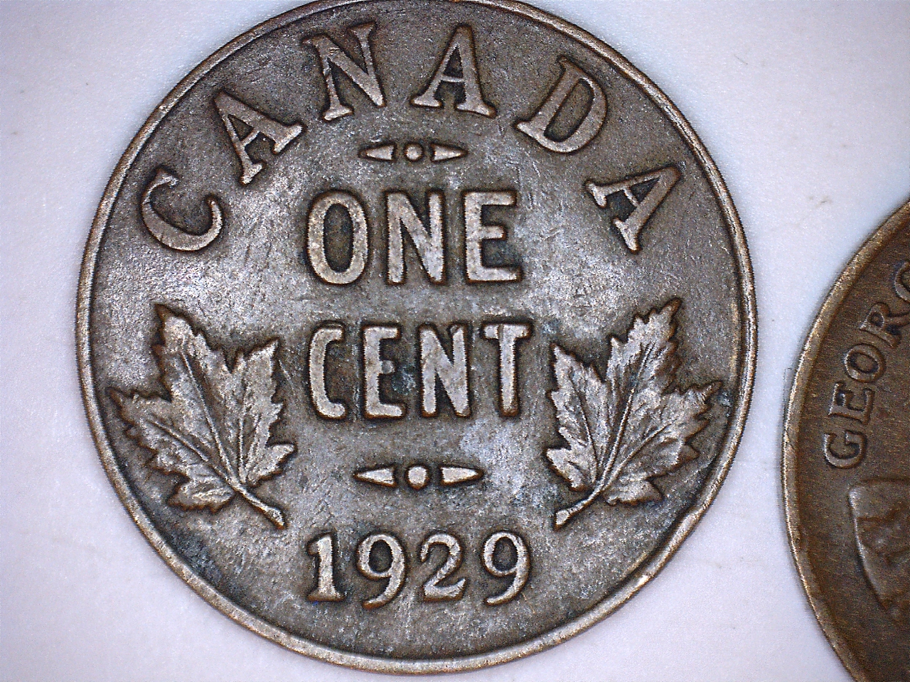 canadian2.jpg