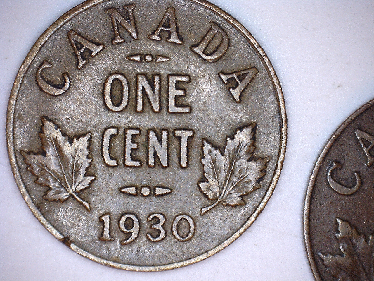 canadian4.jpg