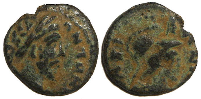 Canatha CT.jpg