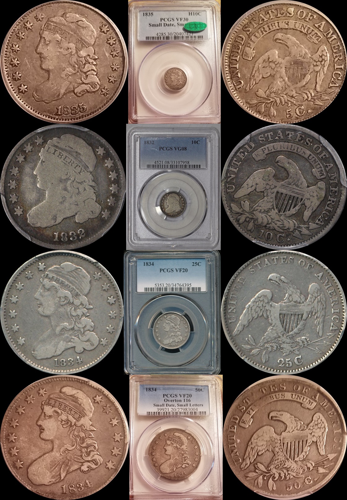 Capped Bust coins.jpg