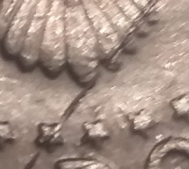 Capture+_2019-01-24-13-16-38.png